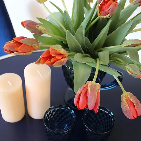 Maison Art - Objekt 94080 Rostock